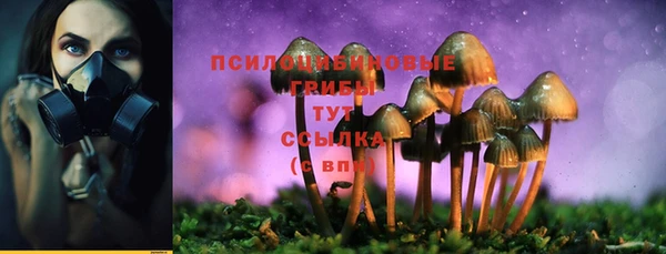 крисы Алексеевка