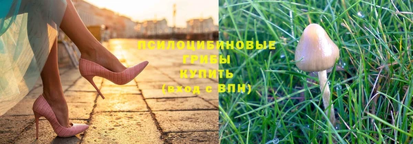 mdpv Нефтекумск